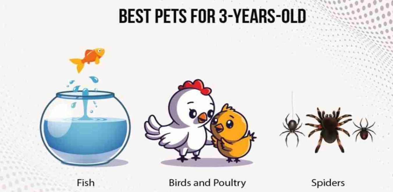 6 Best Pets for Kids: What is Best for You?